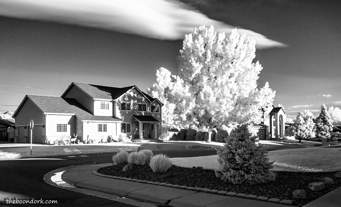 Infrared neighborhood Picture