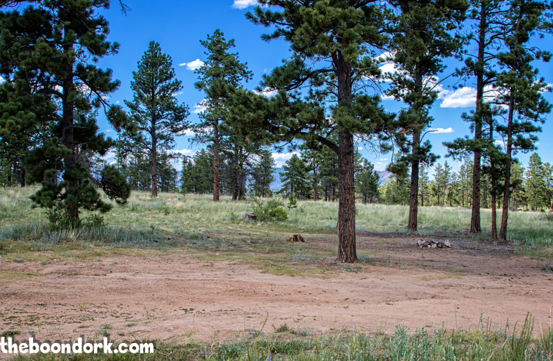 Boondocking site Pike national forest Colorado