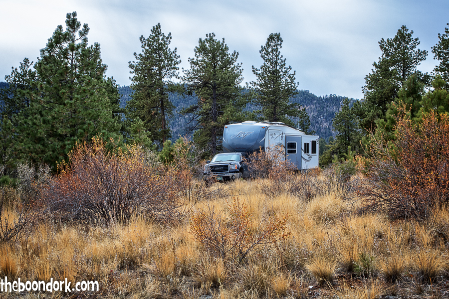 The Arctic Fox Boondocking in the Pike national forest