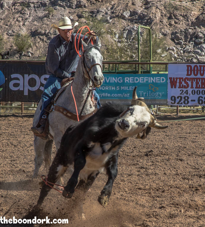 Wickenburg Arizona rodeo