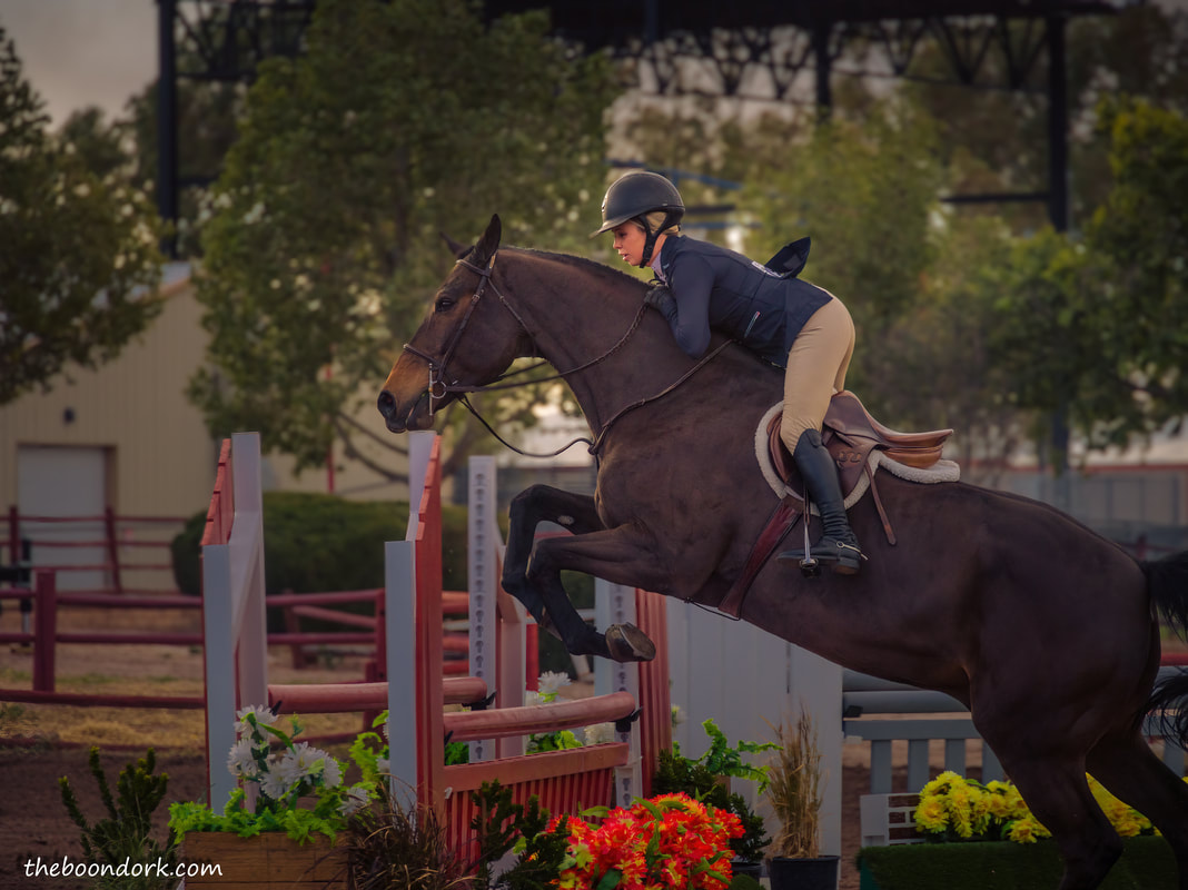 Hunter jumpers Tucson Picture