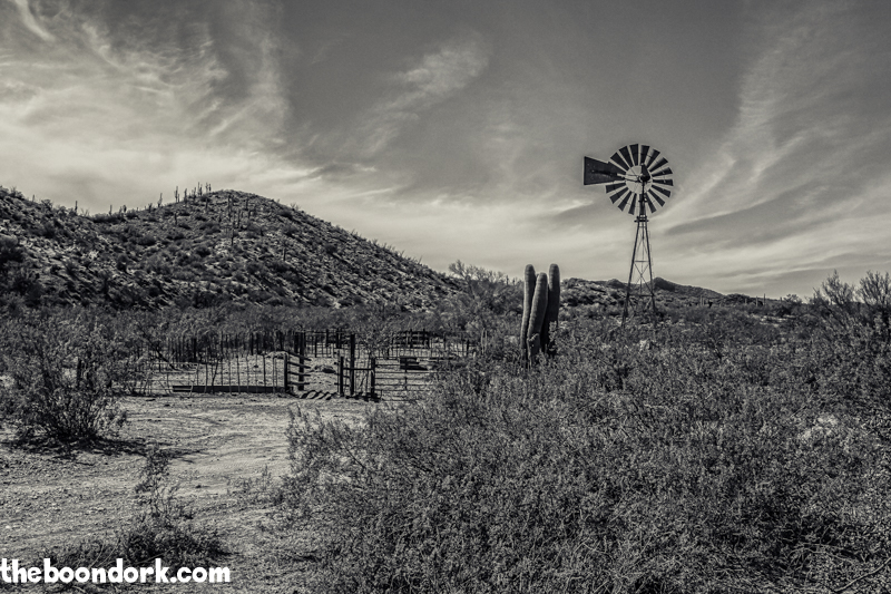 Oasis for cattle Boondocking Wickenburg Arizona
