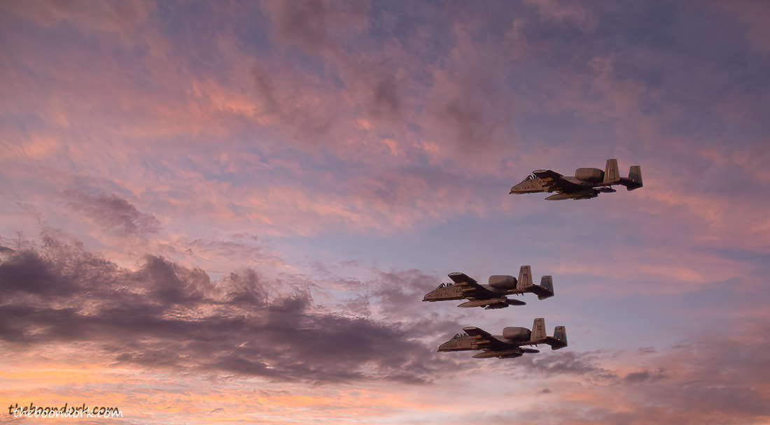 Warthogs in the sunset Picture