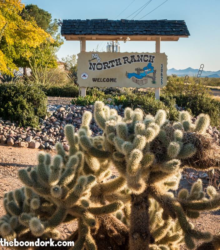 Cactus at the escapees RV park Congress Arizona. Please click