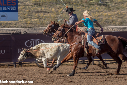 Cowgirl roping