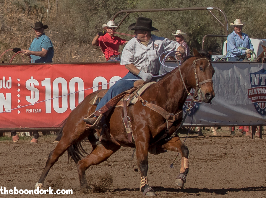 Cowboy roping Wickenburg Arizona