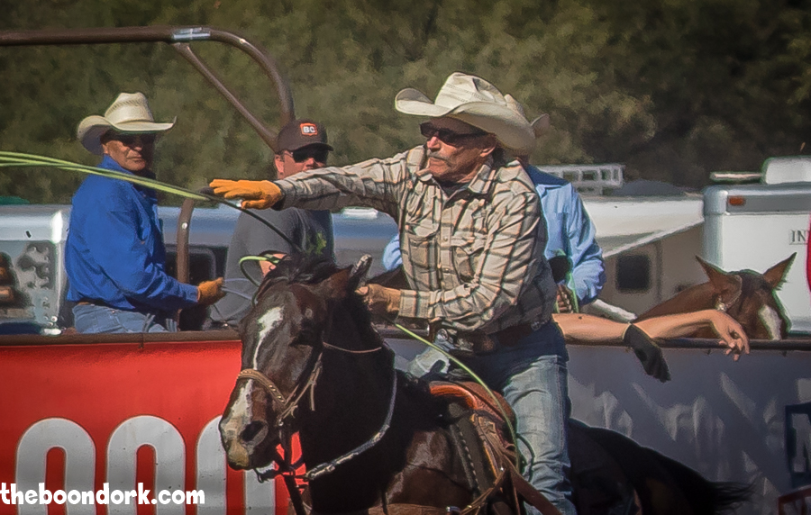 Old cowboy roping a steer