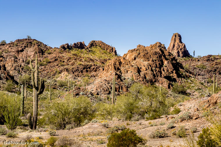hike in the desert Ajo Arizona