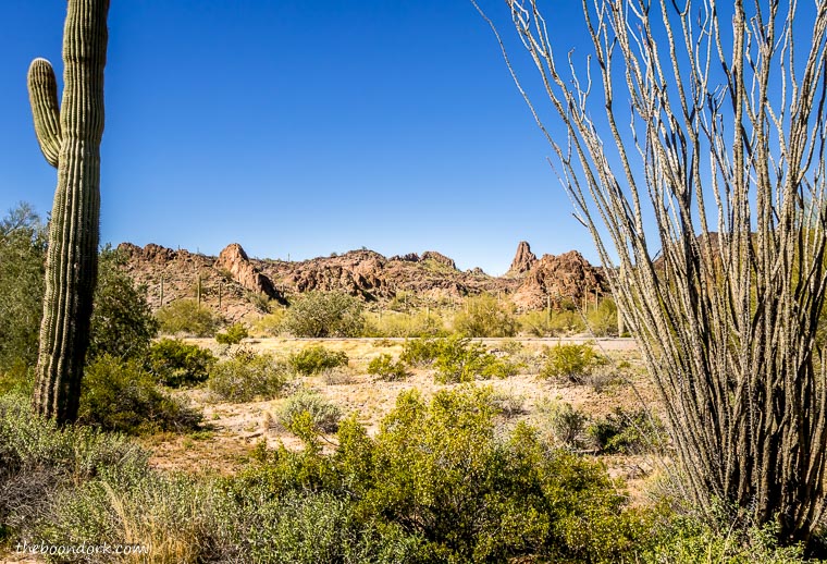 Desert hike ajo Arizona