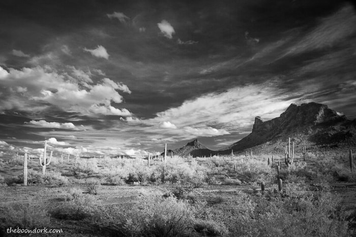 Picacho state Park infrared picture