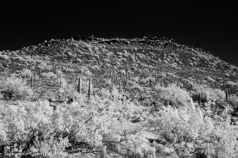 Infrared picture near Phoenix Arizona