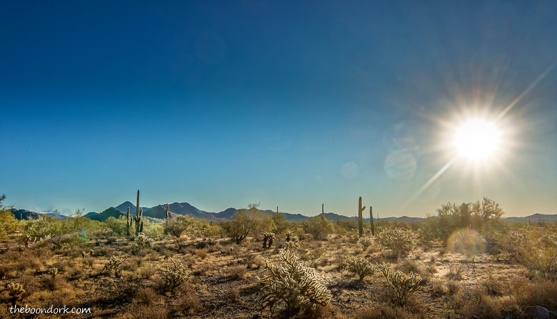 Desert scenery this morning