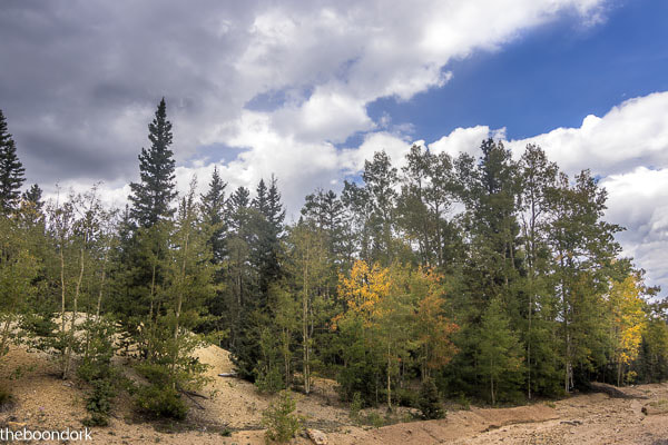 Leaves changing near cripple Creek Colorado