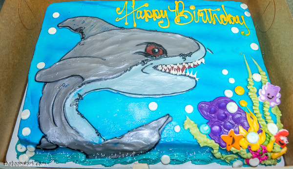 Shark birthday cake