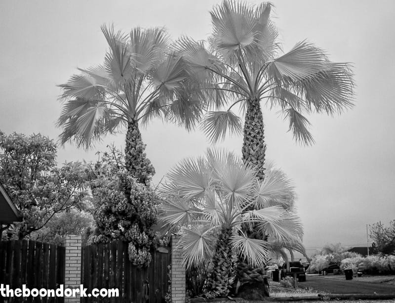 Infrared picture of Padre Island neighborhood