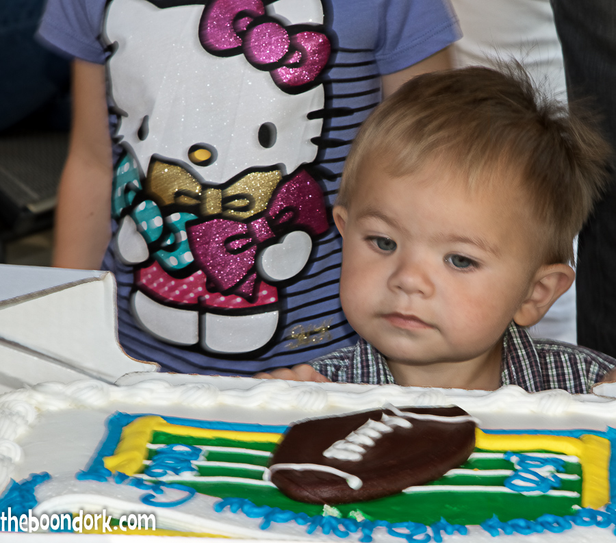 2-year-old looking at birthday cake
