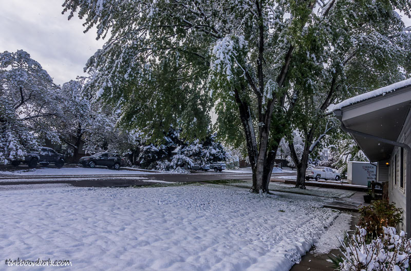 Spring snow in Denver Colorado