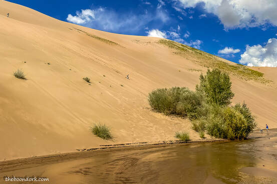 Sand dunes Picture