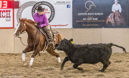 Cutting horse competition Tucson Picture