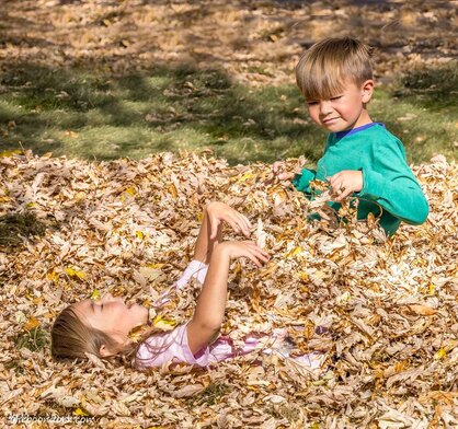 Kids playing in the fall leaves Picture