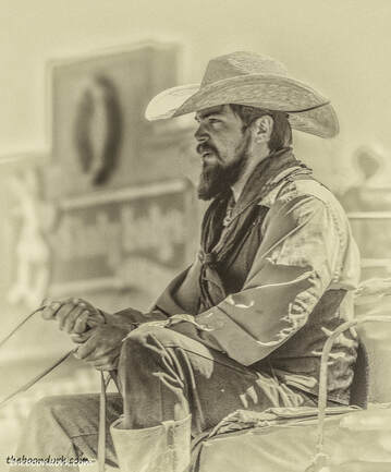 Tombstone stagecoach driverPicture