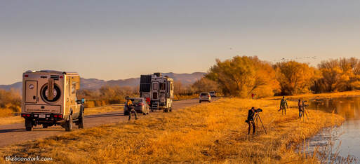 Photographers Bosque Del Apache New Mexico Picture