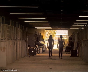 Girls in a barn Picture