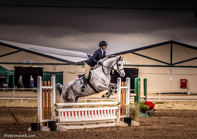 Hunter jumpers Picture