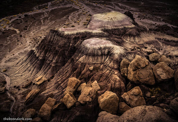 Petrified  forest national Park Picture