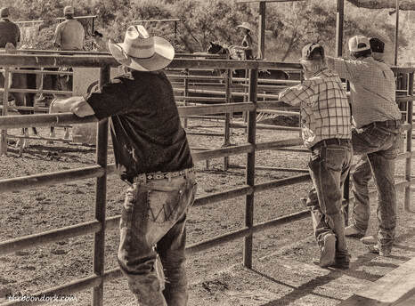 Team roping event Picture