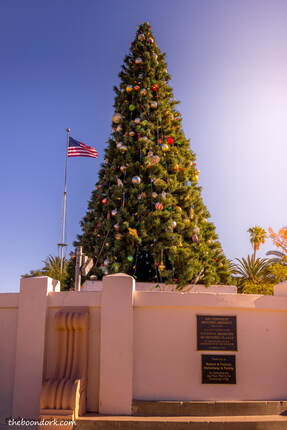 Ajo Arizona Christmas tree Picture