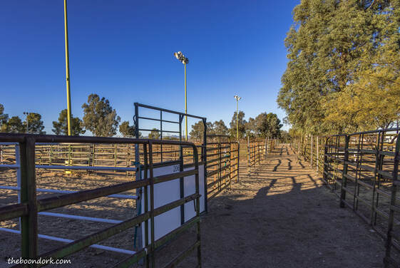 Rodeo arena Picture