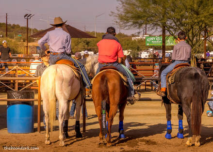 Team roping Wickenburg Picture