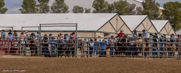 High school rodeo Tucson Arizona Picture