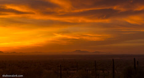 Desert sunset Picacho state Park Picture