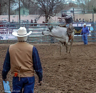 Bull riding Picture