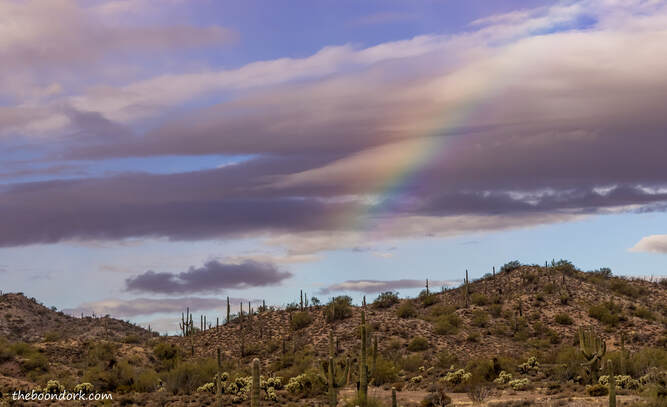 Desert rainbow Picture