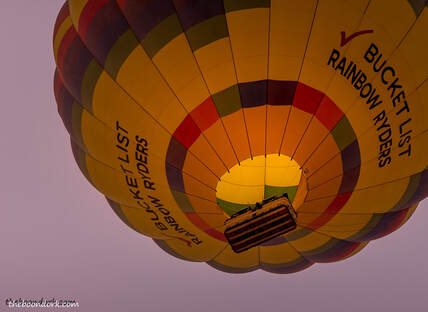 Phoenix hot air balloon Picture