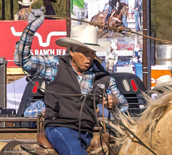 Cowboy Wickenburg Arizona Picture