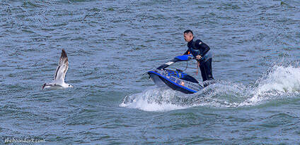 Personal watercraft Picture