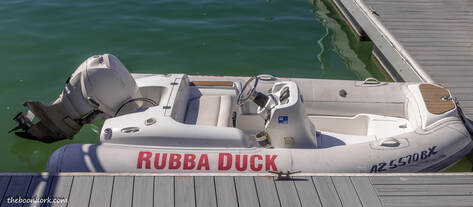 Rubba duck Picture