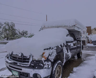 Denver snowstorm Picture