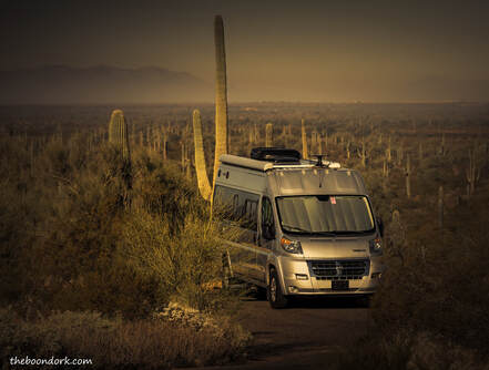 Picacho state Park Arizona Picture
