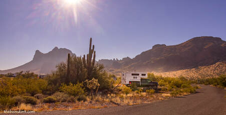 Camping Picacho state Park Picture