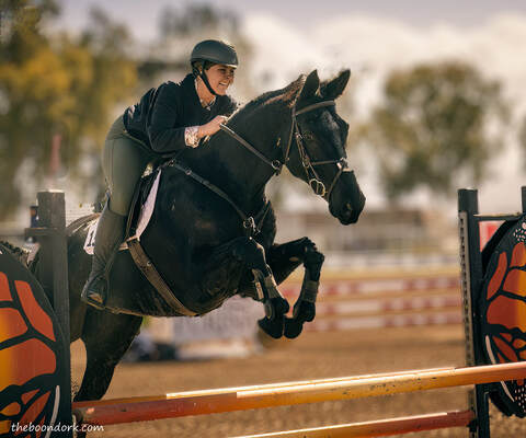 Hunter jumpers Picture