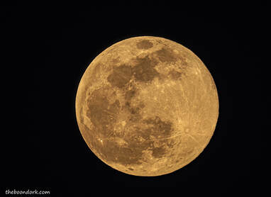 Full moon Picture