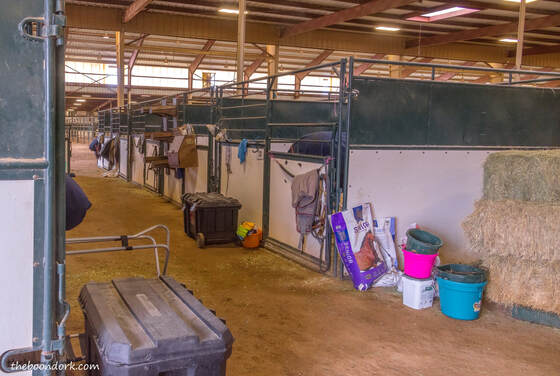 Hunter jumper stable's Picture