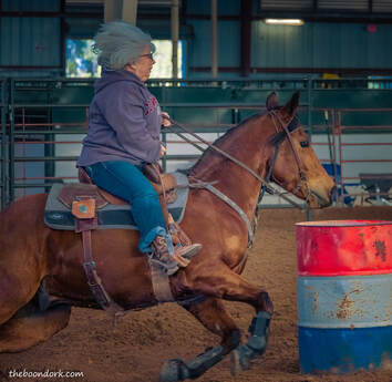 Lady barrel racing Picture