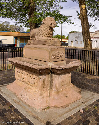 The lion in lions Park Picture