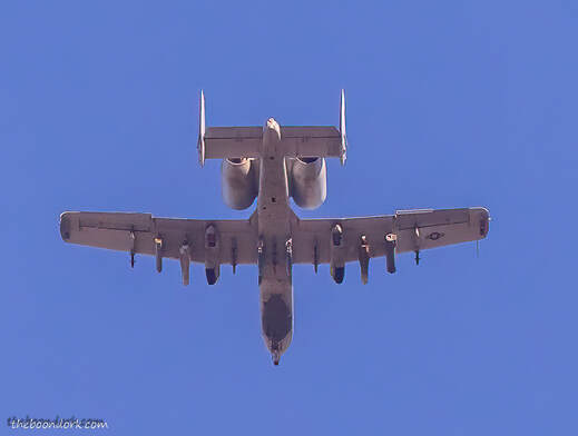 A-10 warthog Picture